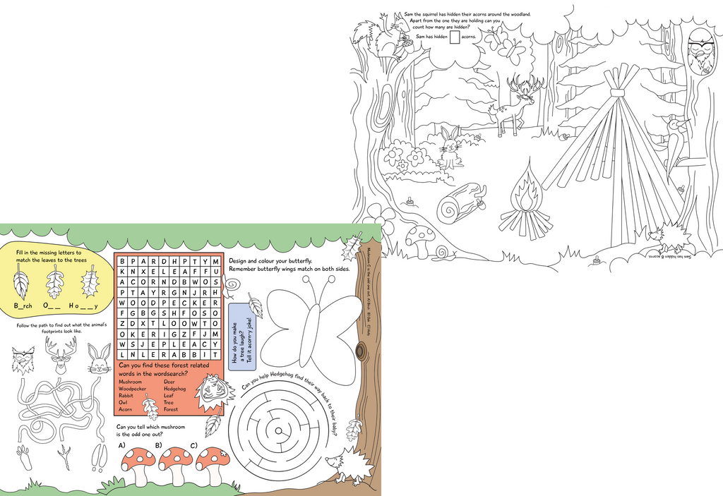 100 Page Woodland Tear Off Colouring And Activity Pad