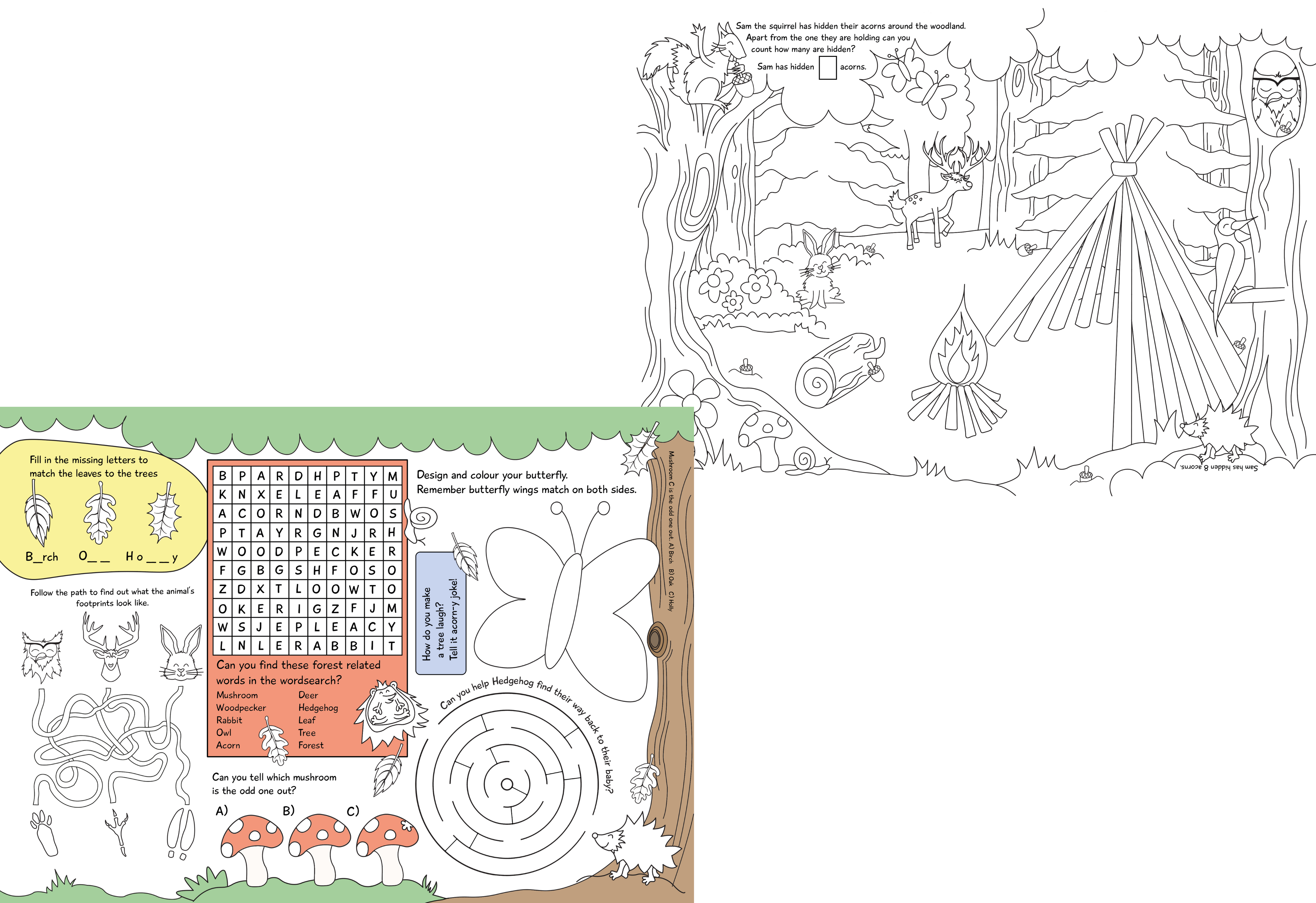 100 Page Woodland Tear Off Colouring And Activity Pad